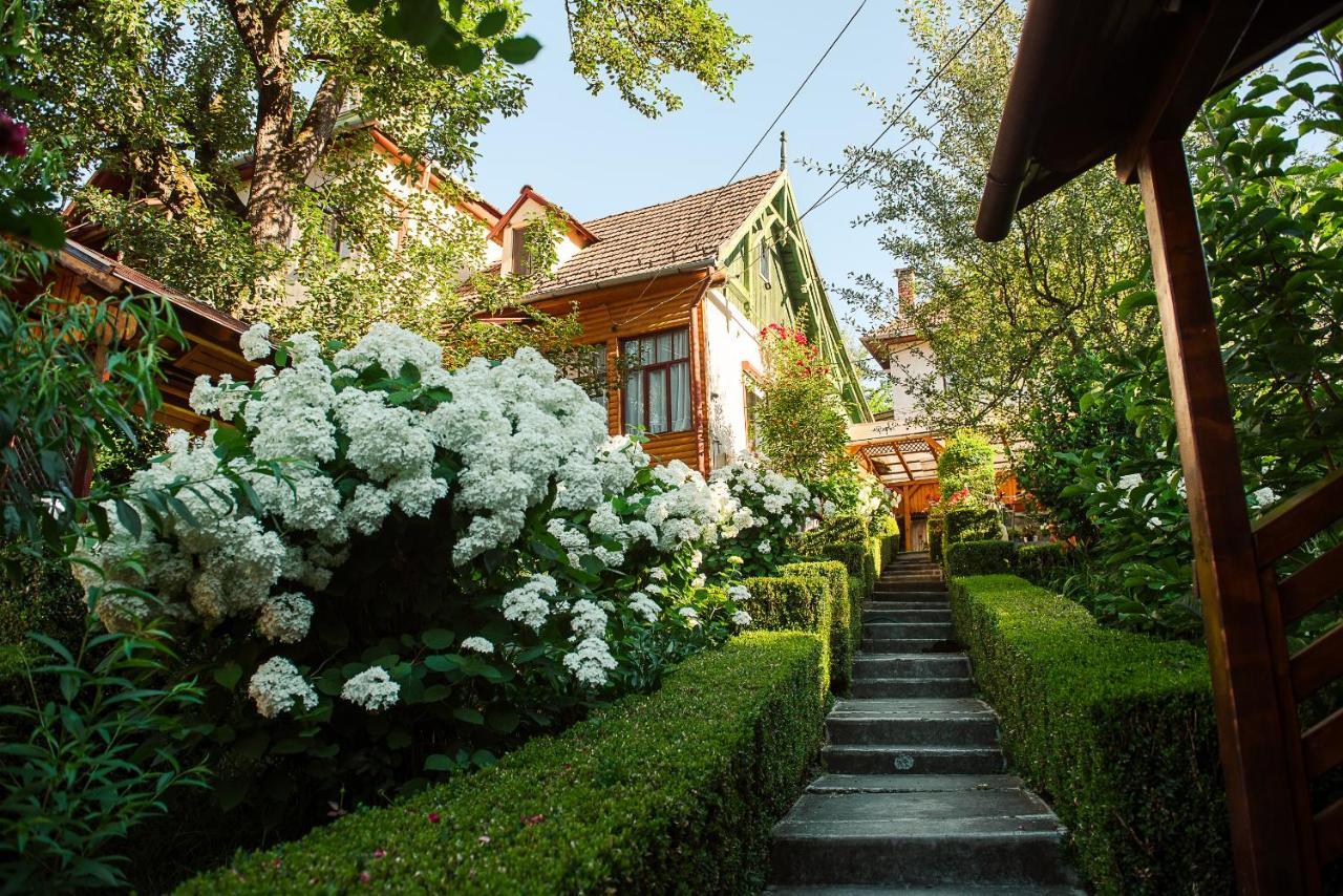 索瓦塔 Casa Edy酒店 外观 照片